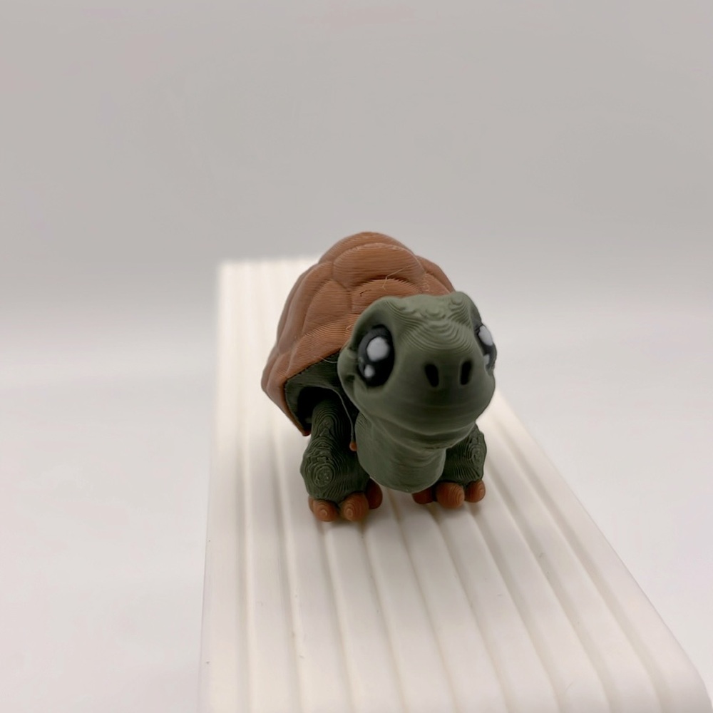 3D printed Tortoise 🐢 mini Fidget Toy Fun Collectible Stress …